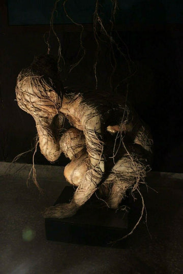 roots
